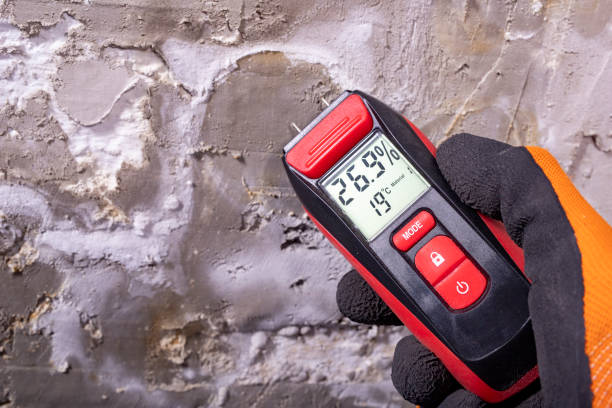 Best Toxic Mold Removal  in Swedesboro, NJ