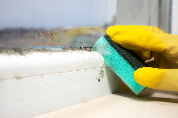 Best Crawl Space Mold Removal  in Swedesboro, NJ